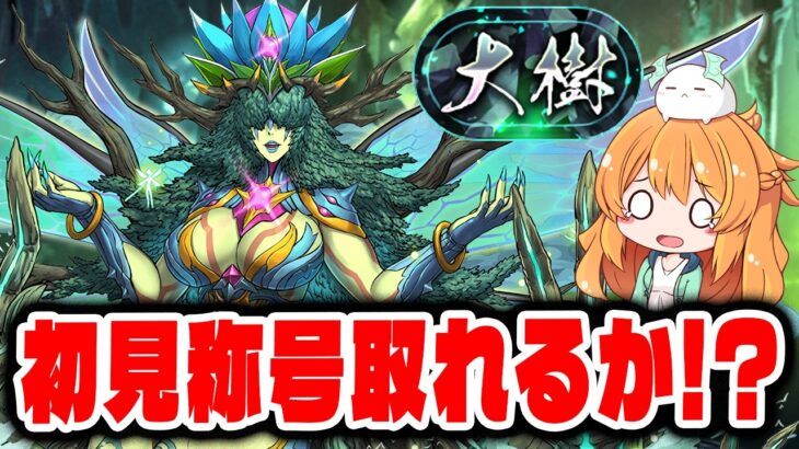 大樹チャレンジ開催!!あのメイドキャラで挑戦したらかなり良さそう…！？【パズドラ】【称号】