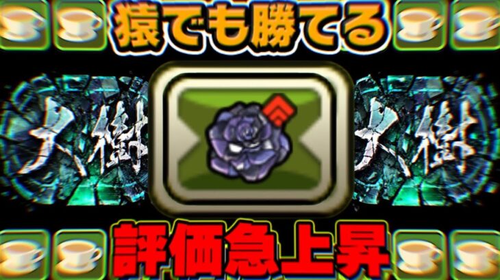 【超絶接待】レシート＆パズル力不要！メイド執事が最強すぎた大樹チャレンジ【パズドラ】