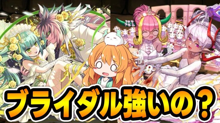今年もブライダルがやってくる！メイドイベントの前だけどどうなの..?【パズドラ】