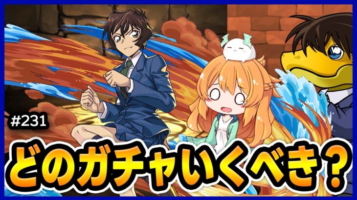 【無課金パズドラ】コナンかブライダルかメイドか…どうしよう？【ガチャ】