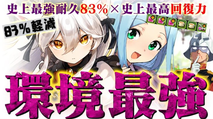 【史上最高峰】環境最強…これ、プレイヤーには刺激が強すぎた。【パズドラ メイド イルミナ アマテラス】