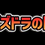 【祭りの闇を暴く】10周年記念セットが本当に美味しいのか、検証してみた。【パズドラ】