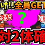 【絶対2体取ろう】今だけ誰でも入手可能！難民になるな！銀時所持者必見！最強性能のキャラを今だけ全員入手可能です！確保解説＆編成・代用・立ち回り解説！【パズドラ】