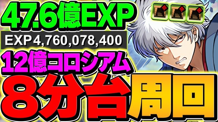 【時速350億】超絶簡単パズルでランク上げ！坂田銀時ループで12億コロシアムを周回！ディバインゲートコラボ 【パズドラ】
