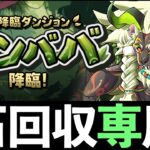 【フンババ降臨】超簡易ラインハルトで魔法石6個回収！ボスのギミックは必見です！！！！！！！！【パズドラ】