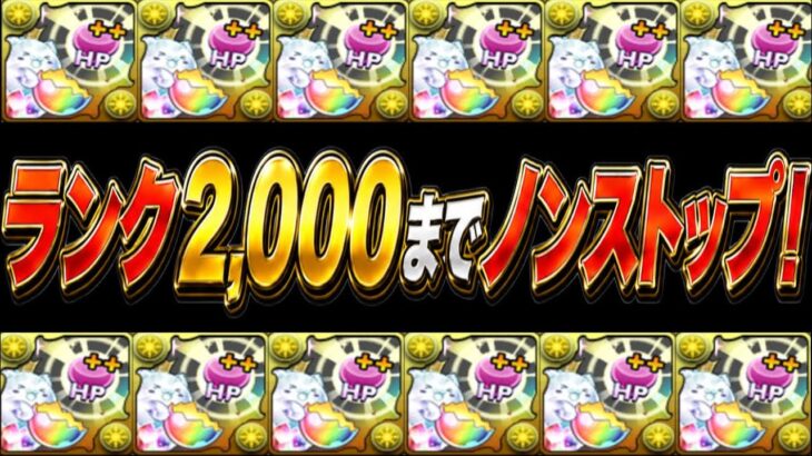 【天才】交換可！7~8分台！ドロ率100%！コスパ最高編成が美味すぎた12億コロシアム【パズドラ】