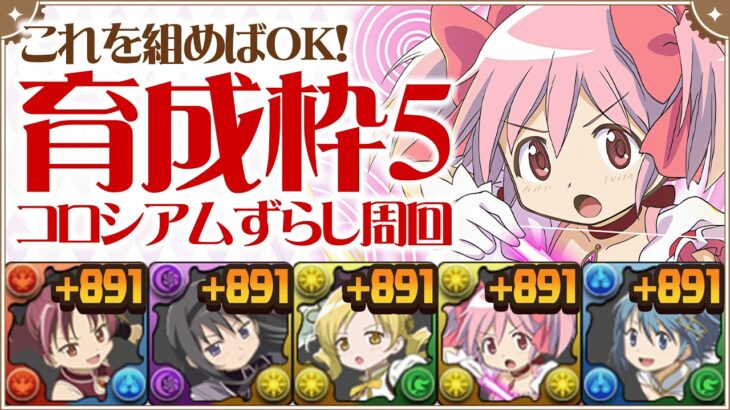 【これ組めばOK】5体同時に爆速+891プラマラ！魔法少女まどか☆マギカコロシアム！を育成枠5枚ずらし編成で超快適周回！【まどマギコラボ】【まどマギコロシアム】【パズドラ】