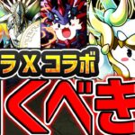 明日開催！パズドラクロスSGFガチャは引くべき？ガチで迷ってる人向け解説！！【パズドラ】