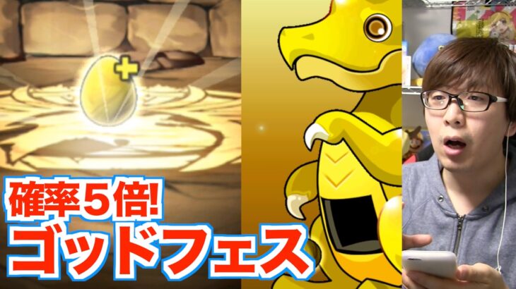 【パズドラ】とにかく風神雷神アテンが欲しい！【ゴッドフェス】