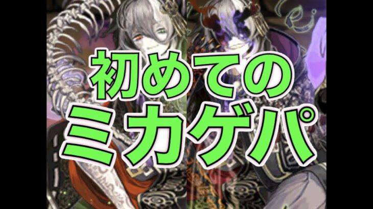 [パズドラ]ミカゲを初ゲットしたのでパーティ紹介します。