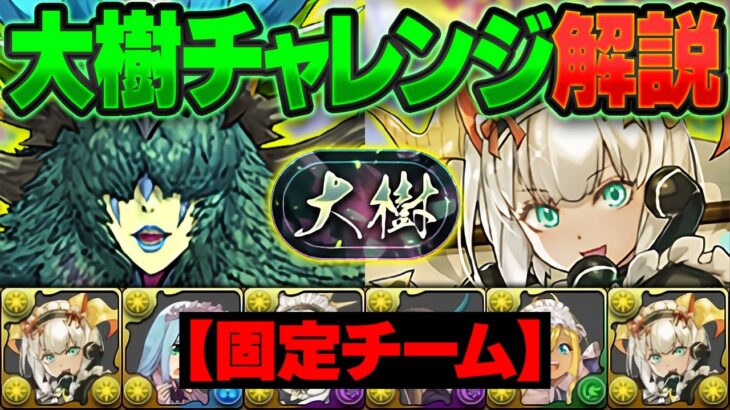 【最難関】固定チーム 大樹チャレンジ攻略！立ち回り完全解説！勝てない奴はこれを見ろ！【パズドラ】