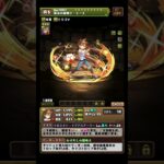 【遅報】エースとランスだけ見て！クロス新キャラの性能解説②【パズドラ】