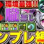 朧無くても全然最強！！モルガンの朧なしのテンプレ編成紹介！！【大樹攻略】【パズドラ実況】＃パズドラ