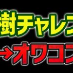 大炎上中の大樹チャレンジ固定チームの現状がヤバすぎる件・・・【パズドラ】
