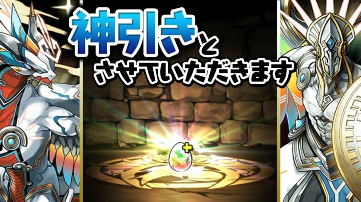 パズドラクロスゴッドフェス開催！無料ガチャで大勝利する男【パズドラ】