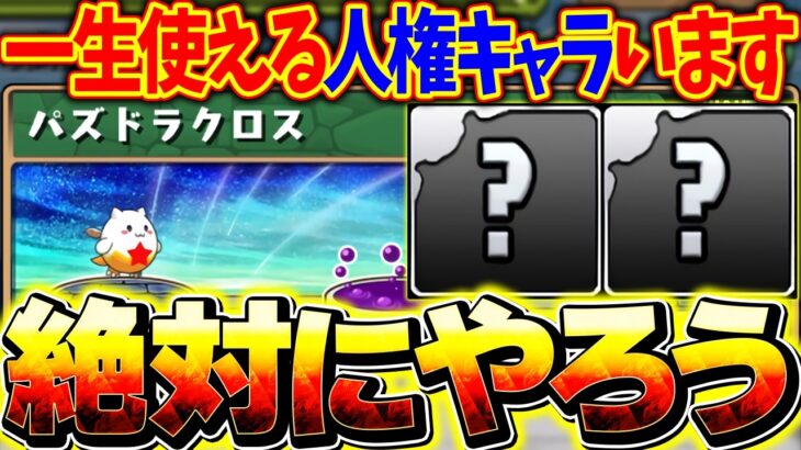 人権キャラ確定、今しか取れません！ワンタッチダンジョンへ急げ！周回編成解説！【パズドラ】